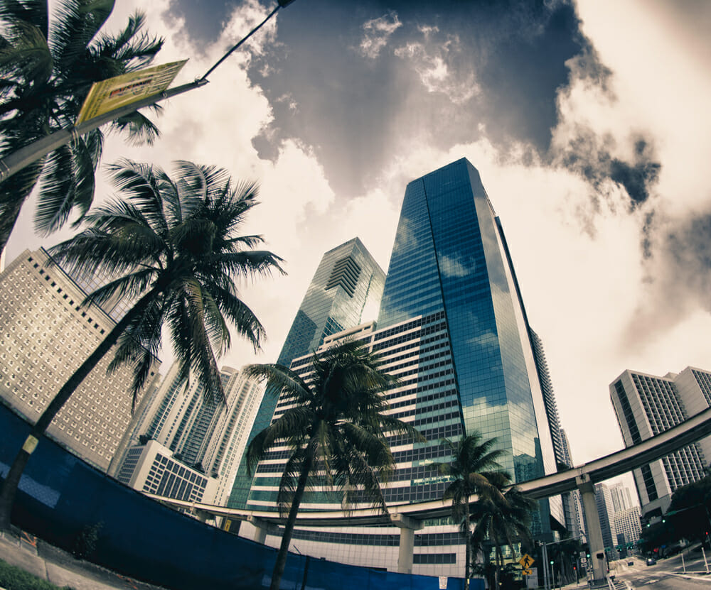 Miami Skyline